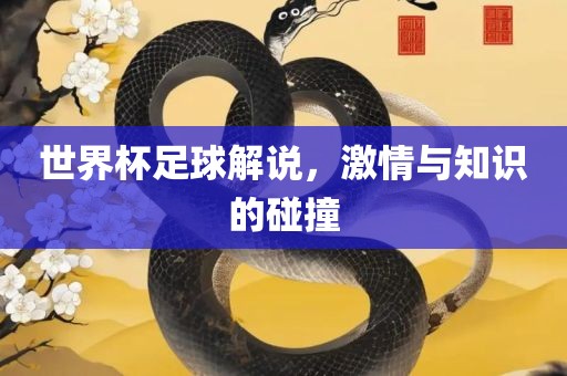 世界杯足球解说，激情与知识的碰撞