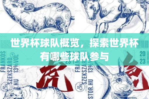 世界杯球队概览，探索世界杯有哪些球队参与