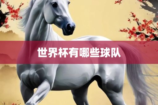 吉安市靖泰电力工程有限公司世界杯有哪些球队