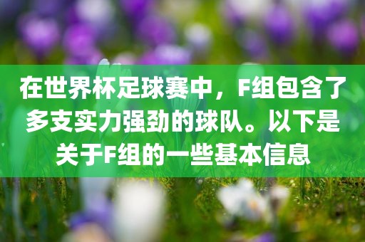 吉安市靖泰电力工程有限公司在世界杯足球赛中，F(xiàn)组包含了多支实力强劲的球队。以下是关于F组的一些基本信息