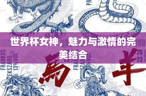 世界杯女神，魅力与激情的完美结合