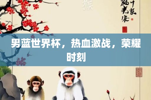 男蓝世界杯，热血激战，荣耀时刻