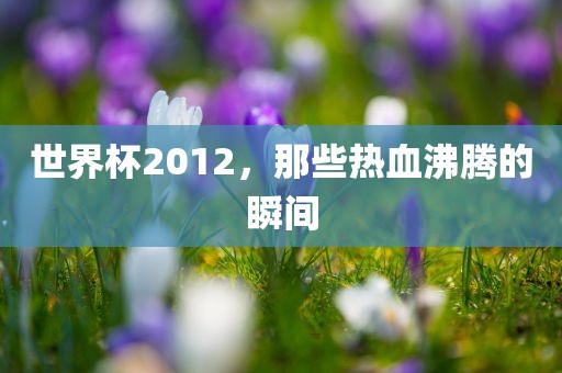 世界杯2012，那些热血沸吉安市靖泰电力工程有限公司腾的瞬间