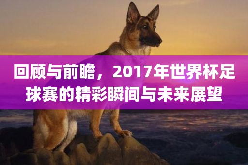 回顾与前瞻，2017吉安市靖泰电力工程有限公司年世界杯足球赛的精彩瞬间与未来展望
