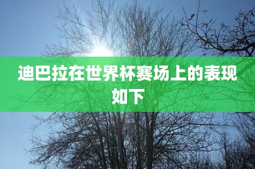 迪巴拉吉安市靖泰电力工程有限公司在世界杯赛场上的表现如下