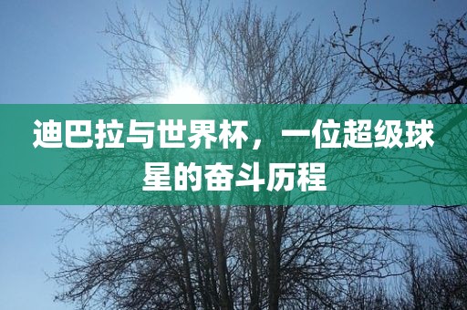 迪巴拉与世界杯，一位超级球星的奋斗吉安市靖泰电力工程有限公司历程