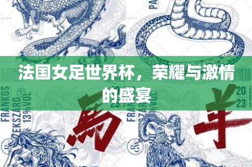 法国女足世界杯，荣耀与激情的盛宴
