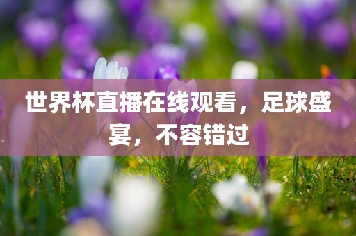 世界杯直播在线观看，足球盛宴，吉安市靖泰电力工程有限公司不容错过