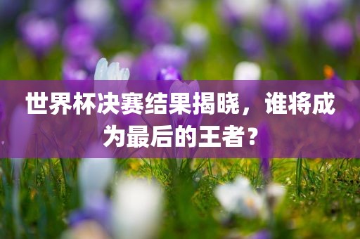 世界吉安市靖泰电力工程有限公司杯决赛结果揭晓，谁将成为最后的王者？