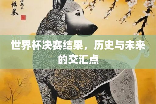 世界杯决赛结果，历史与未来的交汇点