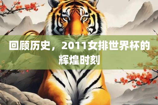 回顾历史，2011女排吉安市靖泰电力工程有限公司世界杯的辉煌时刻