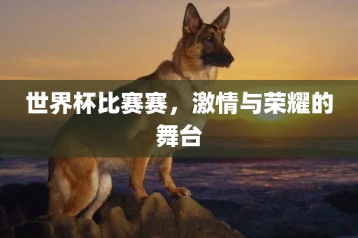 世吉安市靖泰电力工程有限公司界杯比赛赛，激情与荣耀的舞台