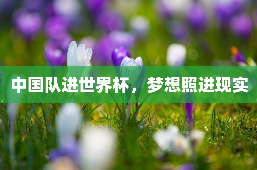 中国队进世界杯，梦想照进现实