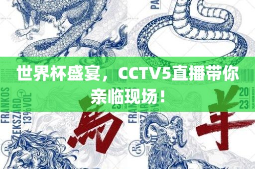 世界杯盛宴，CCTV5直播带你亲临现场！吉安市靖泰电力工程有限公司