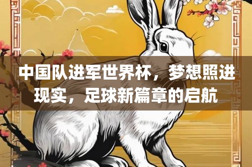 中国队进军世吉安市靖泰电力工程有限公司界杯，梦想照进现实，足球新篇章的启航