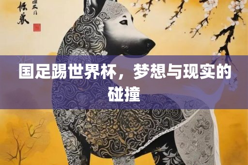 国足踢世界杯，梦想与现实的碰撞