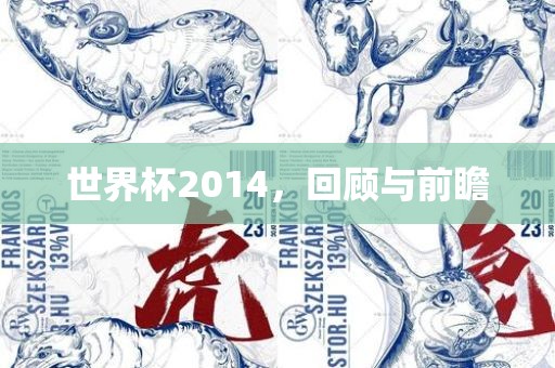 世界杯2014，回顾与前瞻