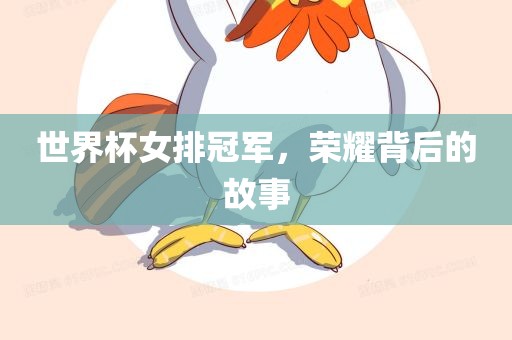世界杯女排冠军，荣耀背后的故事吉安市靖泰电力工程有限公司