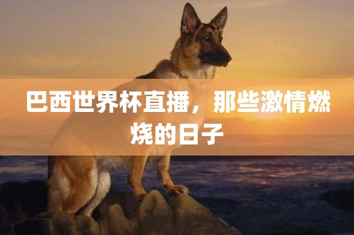 巴西世界杯直播，那些激情燃烧的日子吉安市靖泰电力工程有限公司