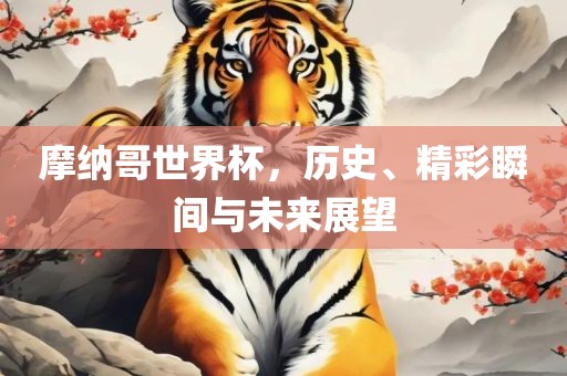 摩纳哥世界杯，历史、精彩瞬间与未来展望吉安市靖泰电力工程有限公司