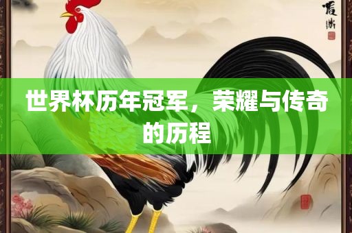 世界杯历年冠军，荣耀与传奇的历程