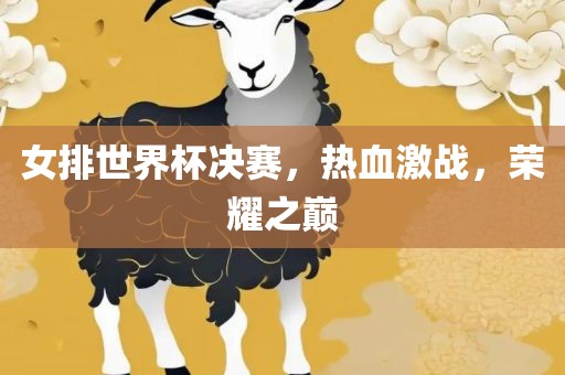 女排世界杯决赛，热血激战，荣耀之巅