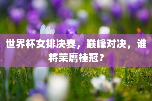 世界杯女排决赛，巅峰对决，谁将荣膺桂冠？