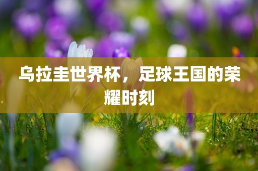 乌拉圭世界杯，足球王国的荣耀时刻