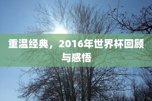 重温经典，2016年世界杯吉安市靖泰电力工程有限公司回顾与感悟