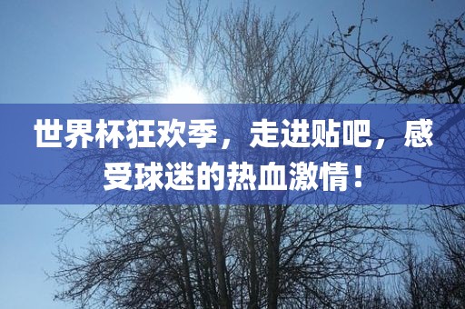 世界杯狂欢季，走进贴吧，感受球迷的热血激情！吉安市靖泰电力工程有限公司