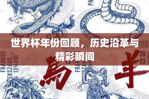 世界杯年份回顾，历史沿革与精彩瞬间吉安市靖泰电力工程有限公司