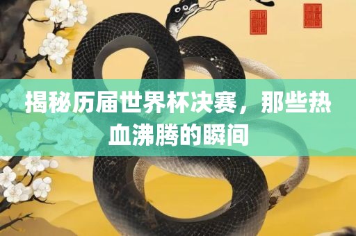 揭秘历届吉安市靖泰电力工程有限公司世界杯决赛，那些热血沸腾的瞬间