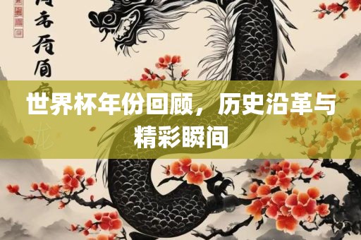 yibo 第6页