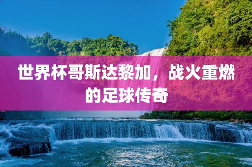 zhangzhiqiang 第4页