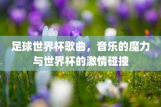 足球世界杯歌曲，音乐的魔力与世界杯的激情碰撞
