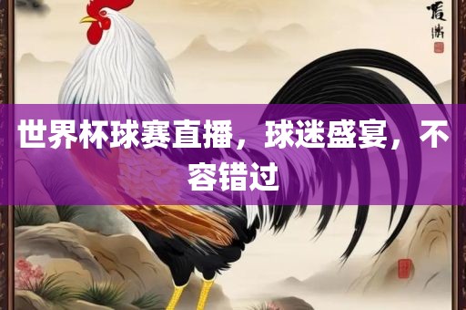 世界杯球赛直播，球迷盛宴，不容错过