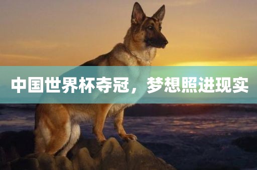 中国世界杯夺冠，梦想照进现实