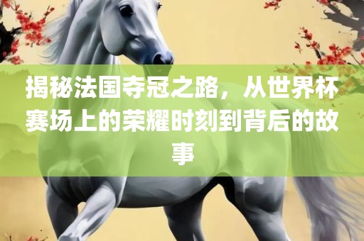 揭秘法国夺冠之路，从世界杯赛场上的荣耀时刻到背后的故事吉安市靖泰电力工程有限公司