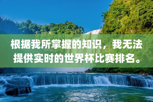 根据我所掌握的知识，我无法提供实时的世界杯比赛排名。