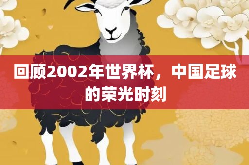回顾2002年世界杯，中国足球的荣光时刻