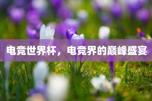 电竞世界杯，电竞界的巅峰盛宴