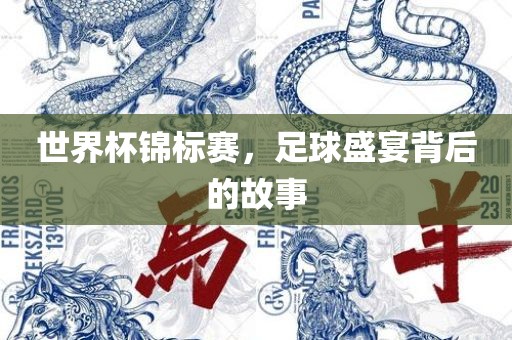 世界杯锦标赛，足球盛宴背后的故事