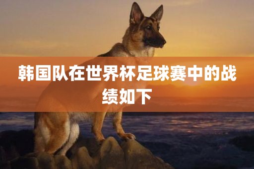 韩吉安市靖泰电力工程有限公司国队在世界杯足球赛中的战绩如下