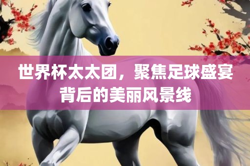 世界杯吉安市靖泰电力工程有限公司太太团，聚焦足球盛宴背后的美丽风景线