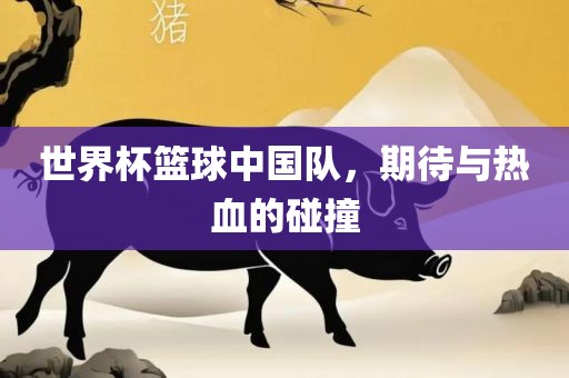 世界杯篮球中国队，期待与热血的碰撞吉安市靖泰电力工程有限公司