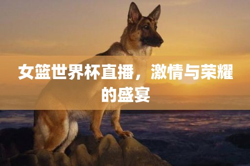 女篮世界杯直播，激情与荣耀的吉安市靖泰电力工程有限公司盛宴