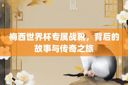 梅西世界杯专属战靴，背后的故事与传奇之旅