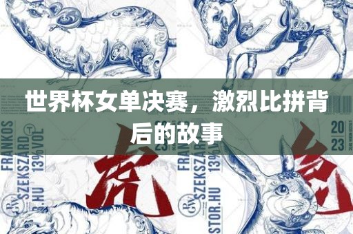 世界杯女单决赛，激烈比拼背后的故事
