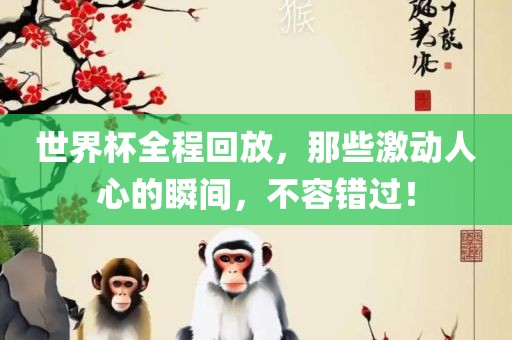 世界杯全程回放，那些激动人心的瞬间，不容错过！
