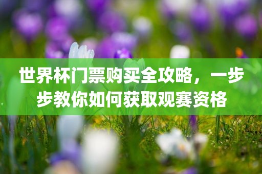 世界杯门票购买全攻略，一步步教你如何获取观赛资格吉安市靖泰电力工程有限公司